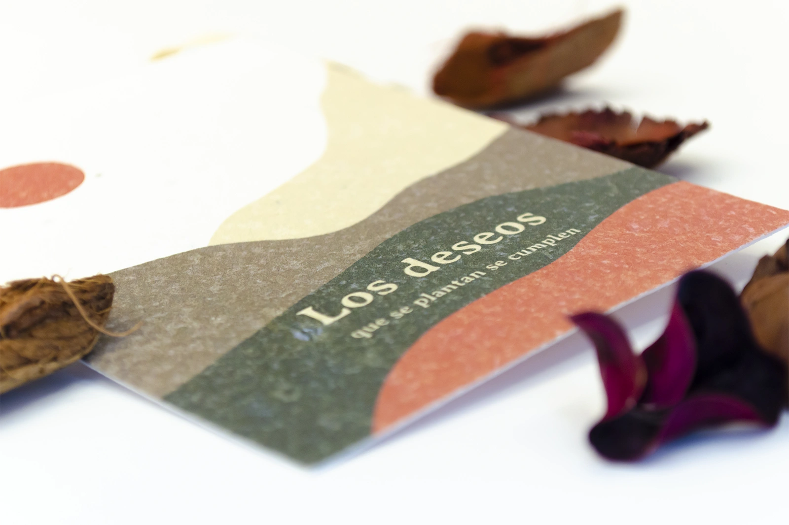 Postal plantable «Los deseos que se plantan, se cumplen» de Resetea con semillas de flores